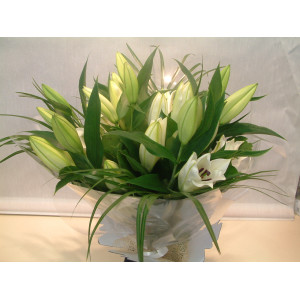Lily Hand Tied 