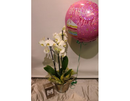 Orchid Gift Bundle
